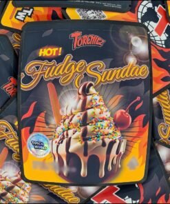 Hot Fudge Sundae