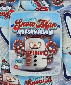 Frosty Snowman Marshmallow